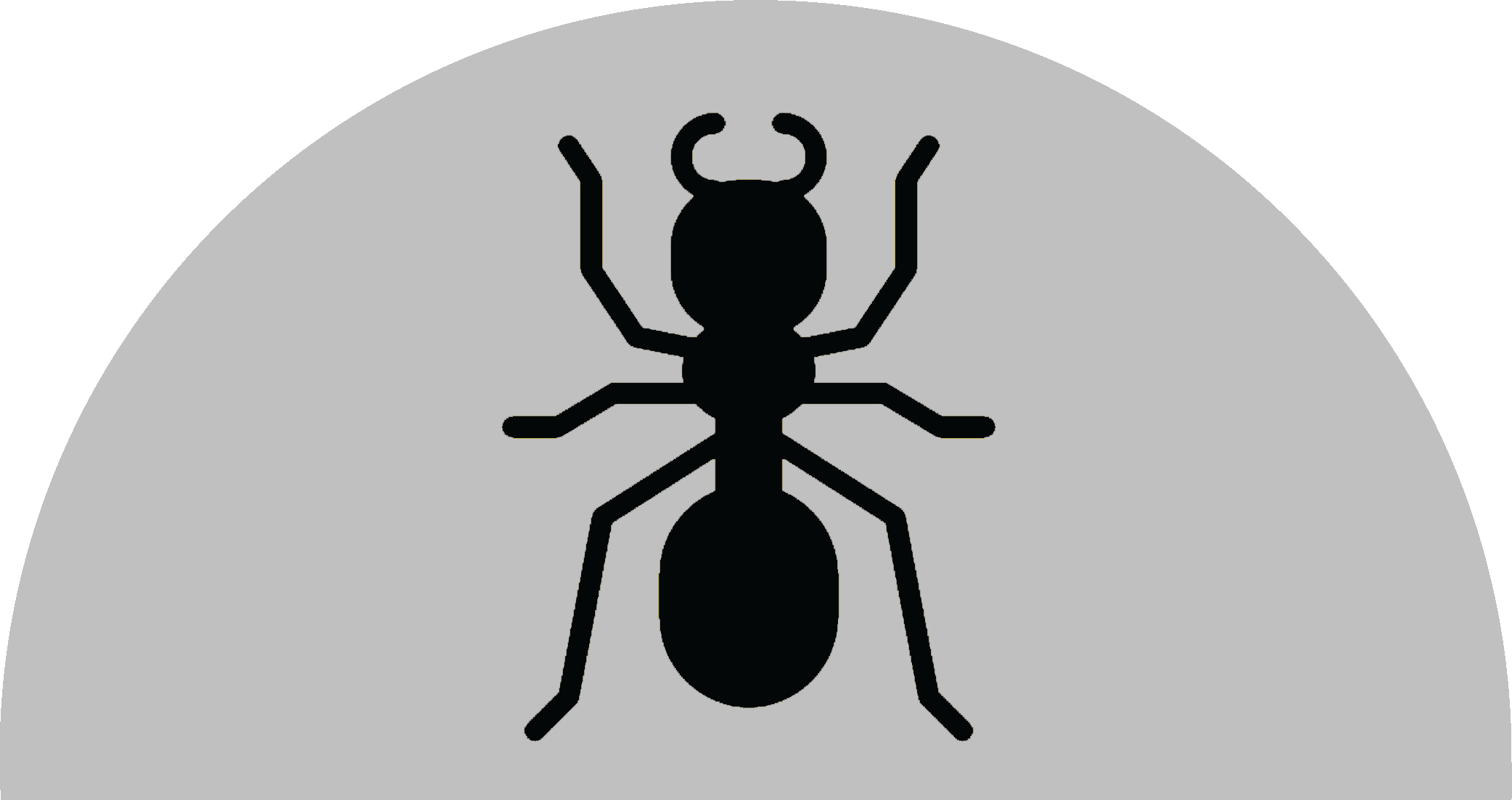 ant-silver-icon