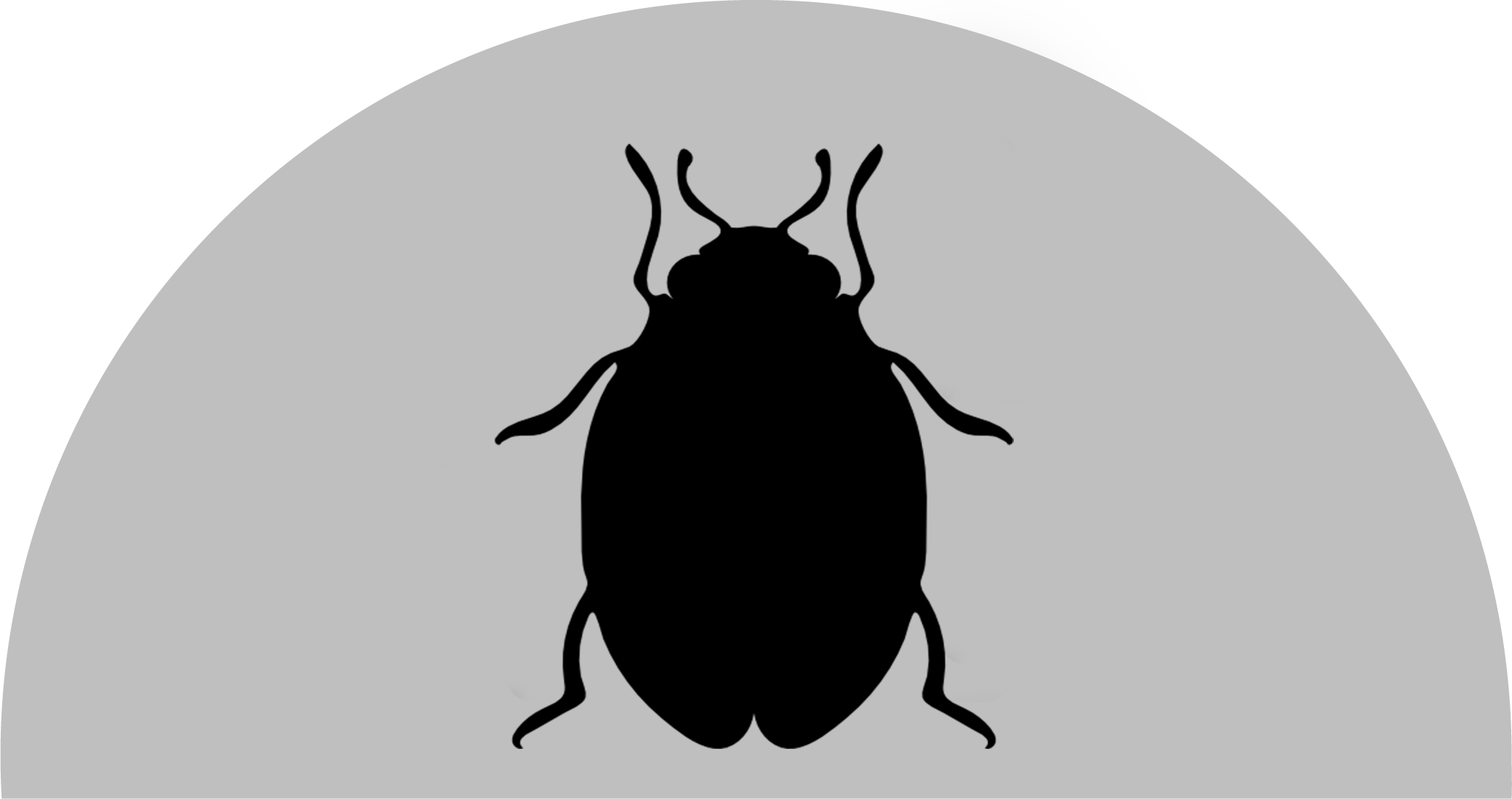 bed-bug-icon