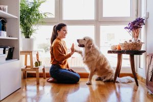 a person playing with their dog indoors